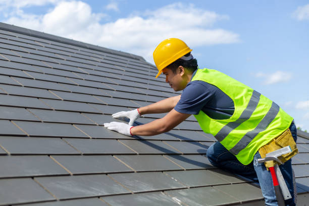 Best Roof Leak Repair  in Glencoe, MN